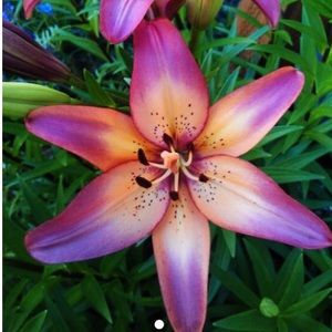 Meet your Posher, Myra